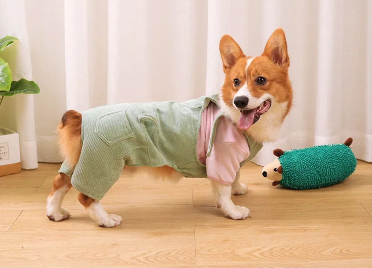 Dog Overalls Romper - Sage Green