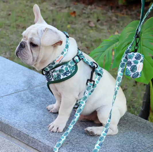 Monstera Leaf Print Harness and Lead Set