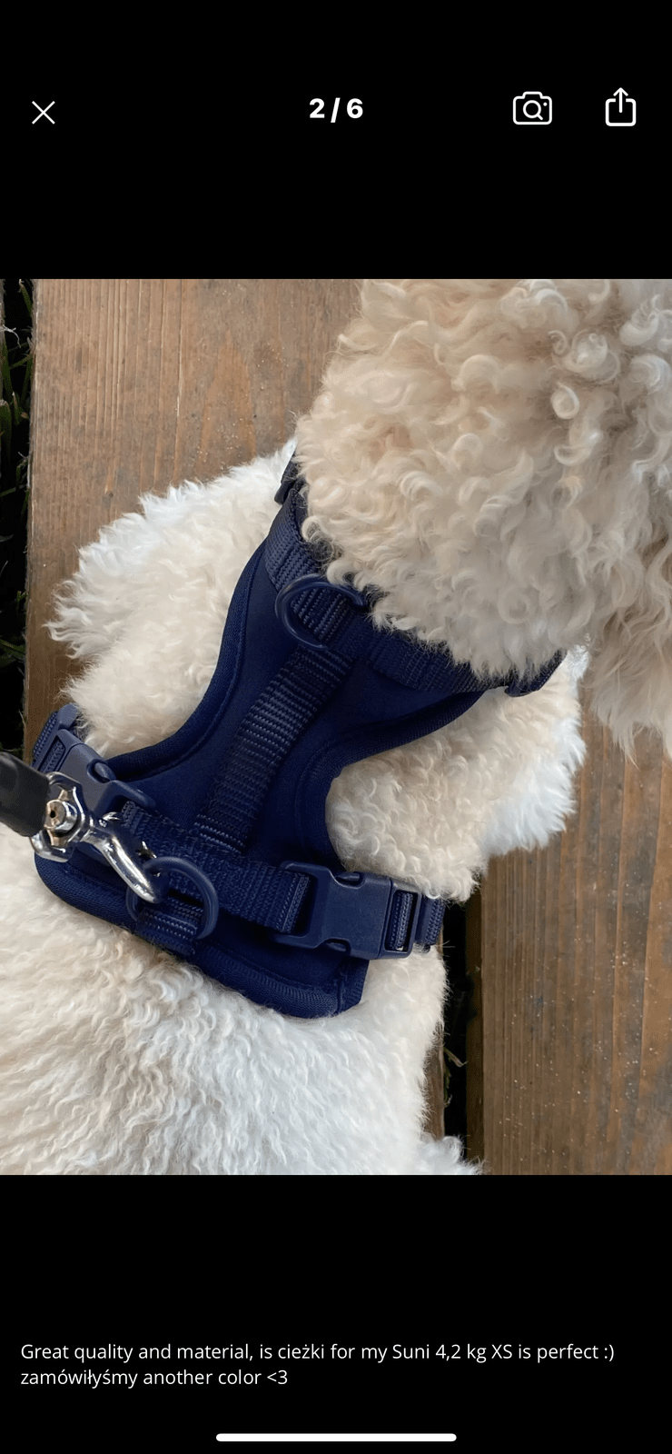 Luxury Dog Waterproof Soft Dog Harness and Lead