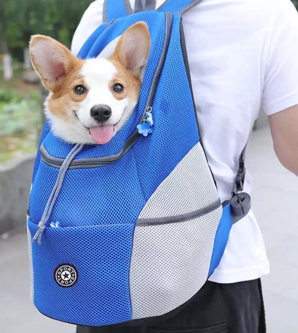 Pet Travel Backpack