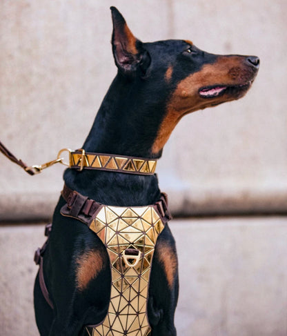 Designer Dog Harness - Gold