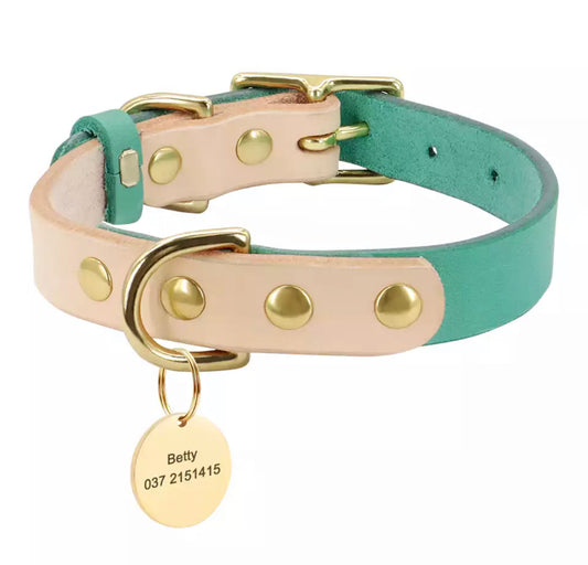 Custom ID Real Leather Dog Collar