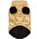 Gold D Ring Dog Jacket