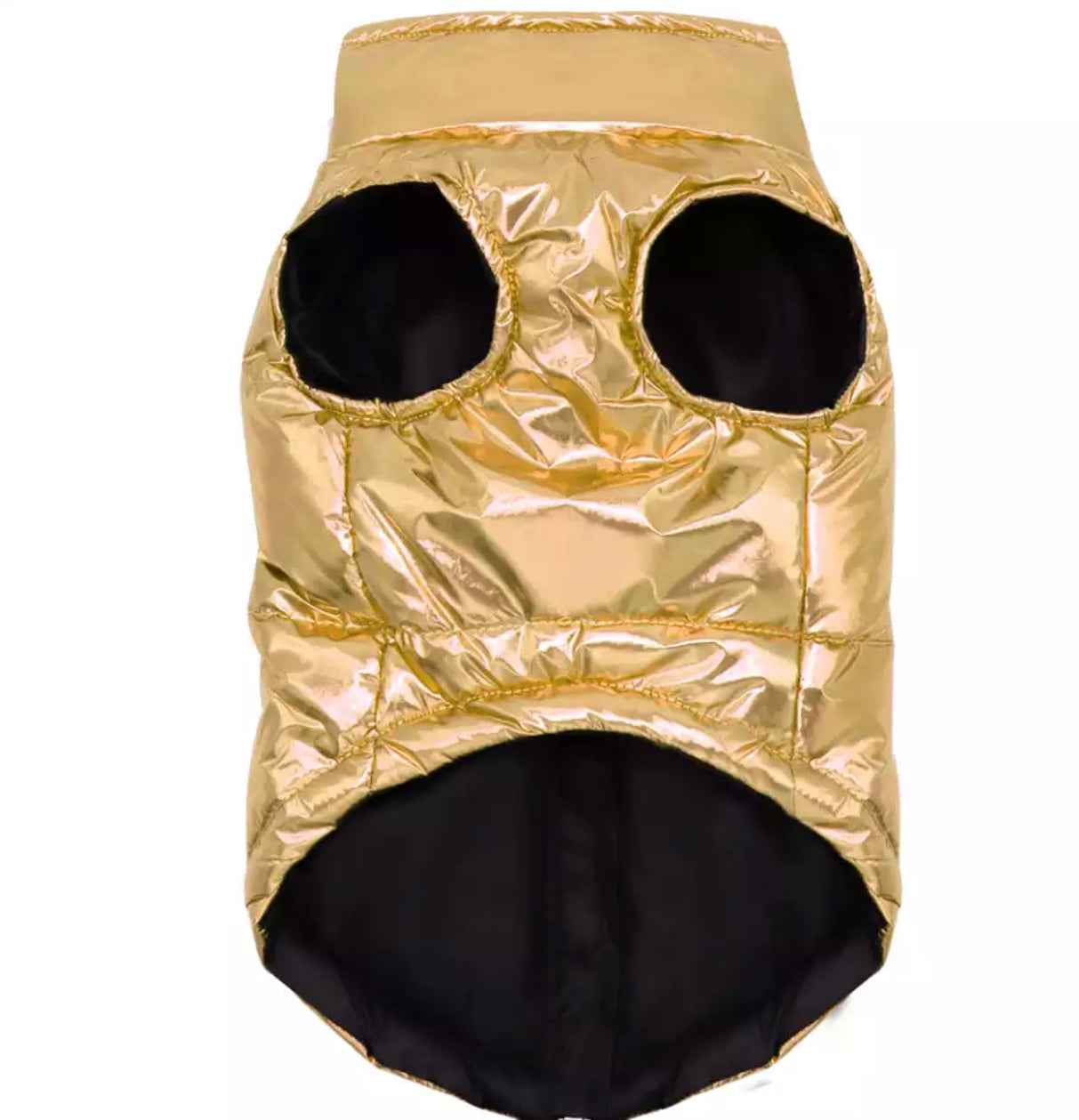 Gold D Ring Dog Jacket