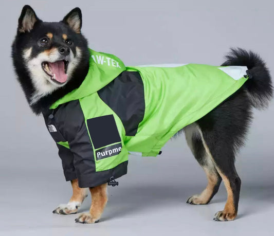 Dog Jacket - Green