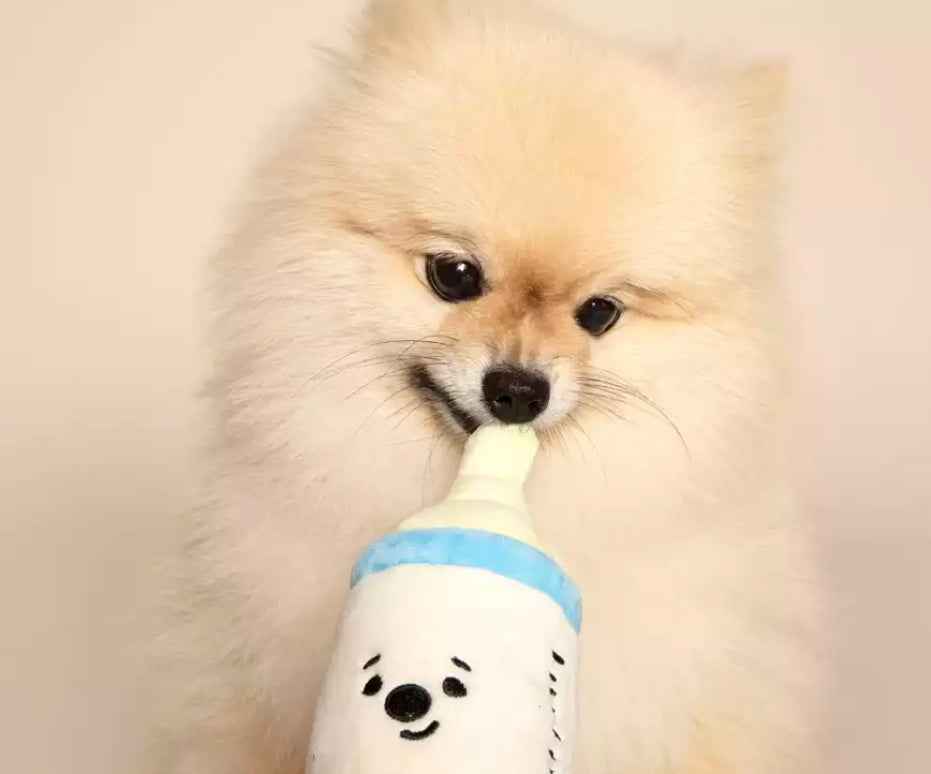 Dog Bottle, Dummy and Rattle Set