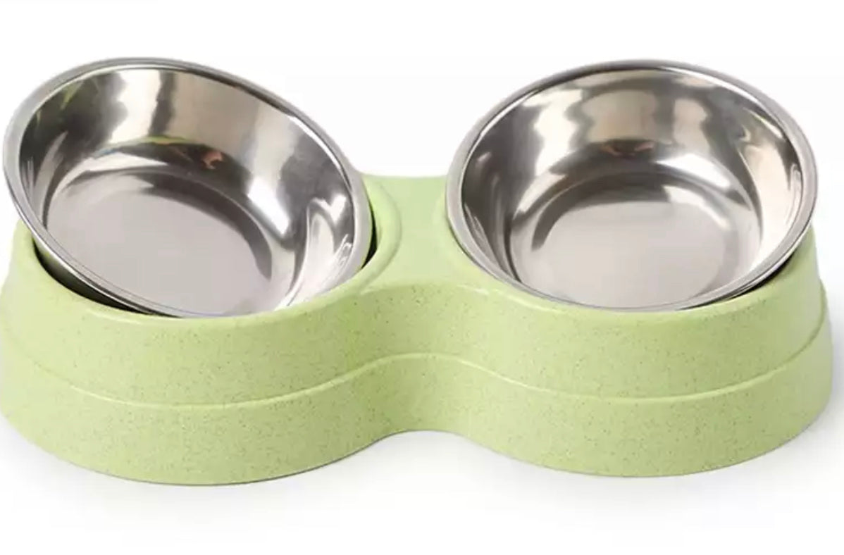 Stainless Steel Twin Dog Bowl Set - Lime