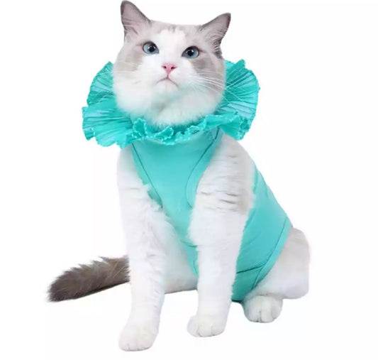 Pet Recovery Suit - Mint