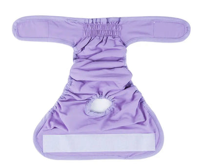 Washable Female Dog Knickers - Lilac