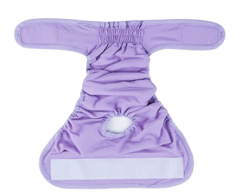 Washable Female Dog Knickers - Lilac