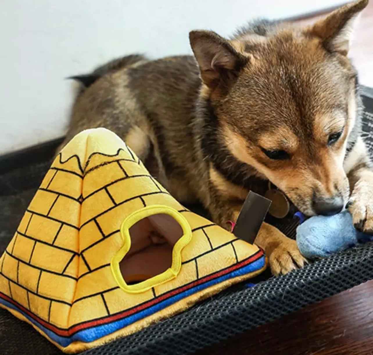 Hide and Seek Egyptian Pyramid Interactive Toy