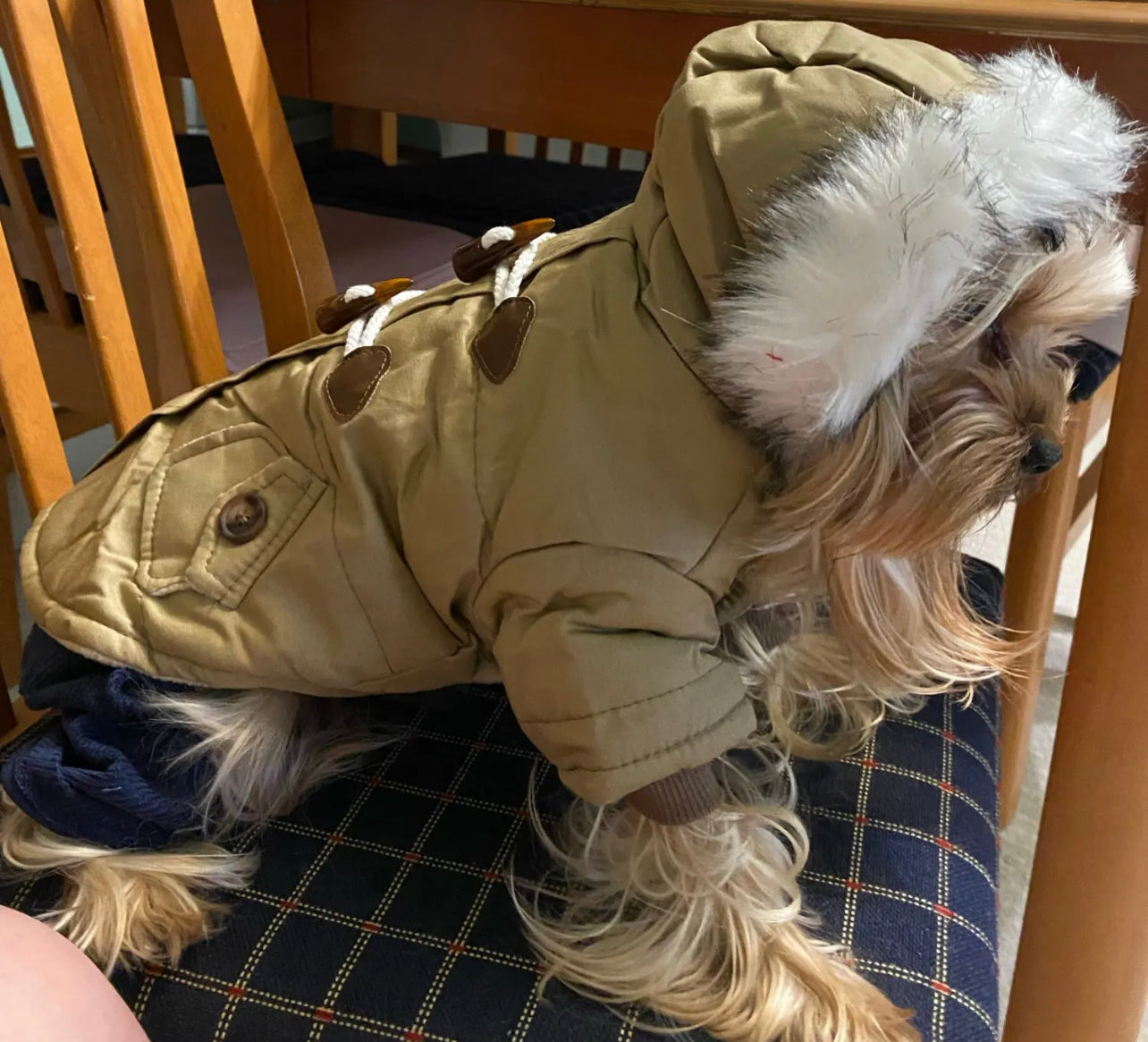 Duffle Coat with Faux fur Trim Hood - Camel