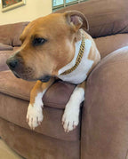 Gold Stainless Steel Necklace Chain