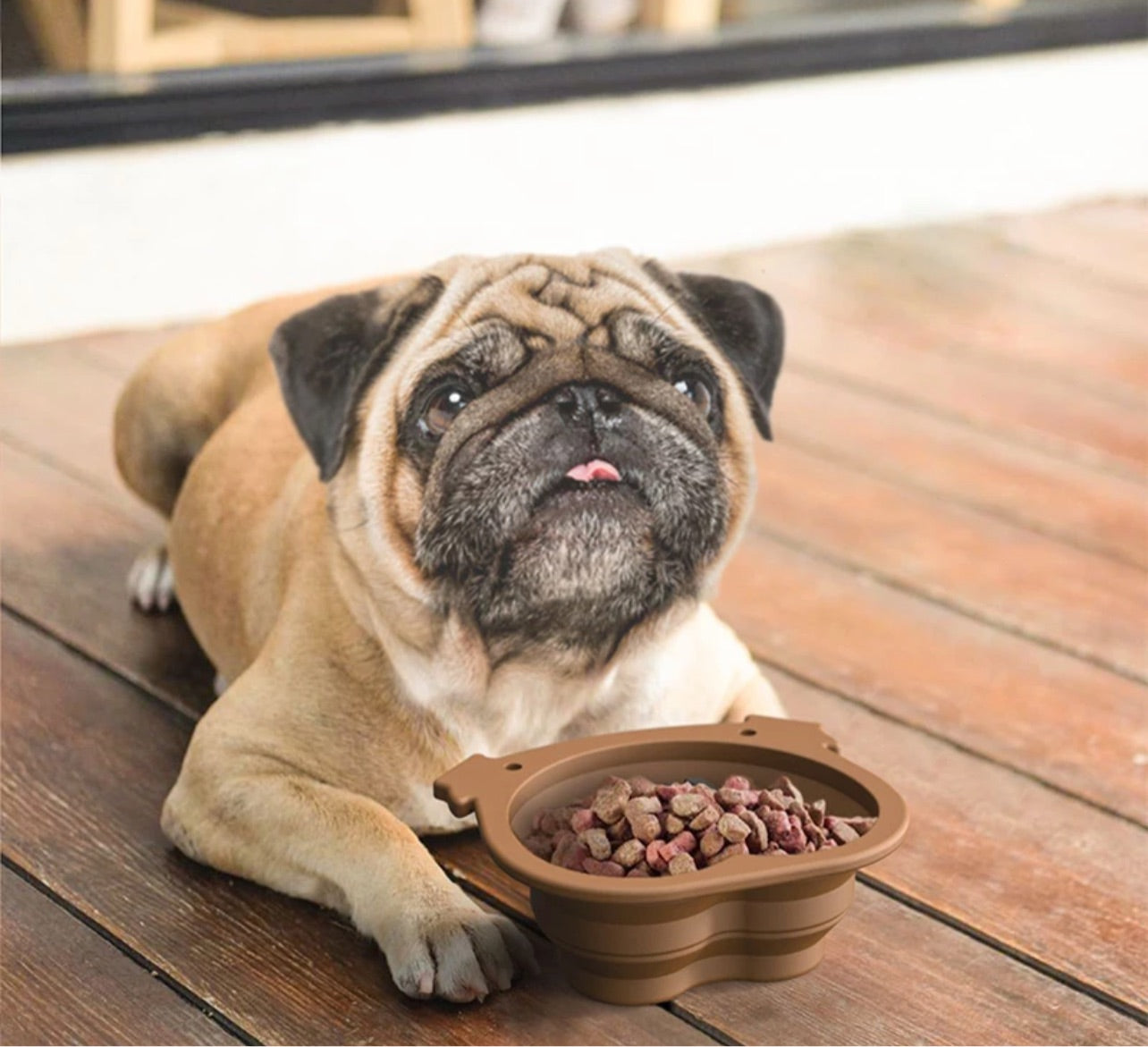 French Bulldog / Pup Shaped Travel Bowl