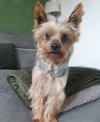 Rhinestone Bow - Silver