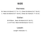 Large Dog Harness - Turquoise