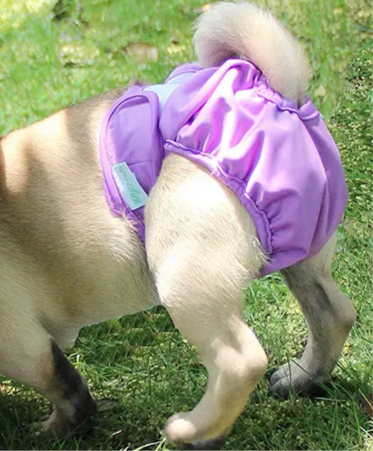 Washable Female Dog Knickers - Lilac