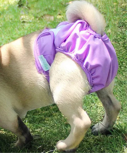 Washable Female Dog Knickers - Lilac