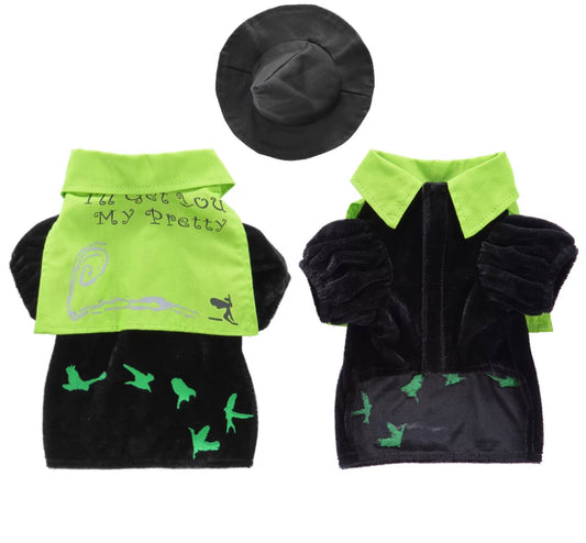 “I’ll Get You My Pretty” Halloween Outfit - Green/Black