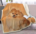 Pomeranian Sherpa Fleece Blanket