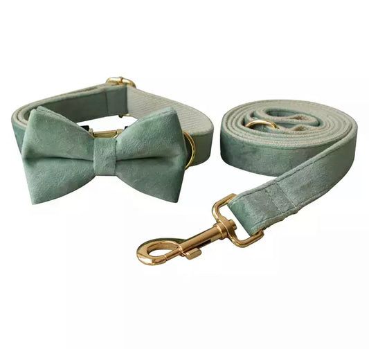 Luxury Velvet Mint Dog Collar and Lead Set