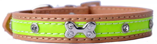 Tan Reflective Bone Dog Collar