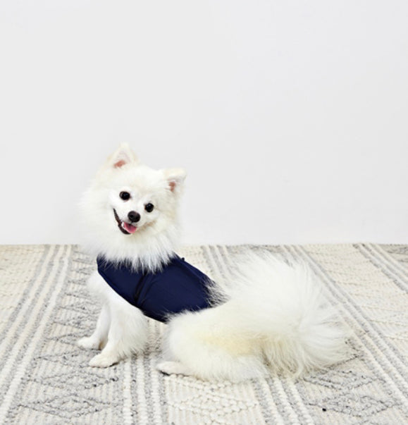 Thunder Anxiety Wrap for Dogs
