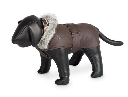 Nobby Marian Dog Coat Brown With Hood 48cm