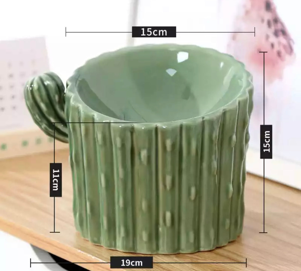 Cactus Ceramic High Feeding Bowl