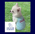Bark-ie Dog Vest - Blue/Green