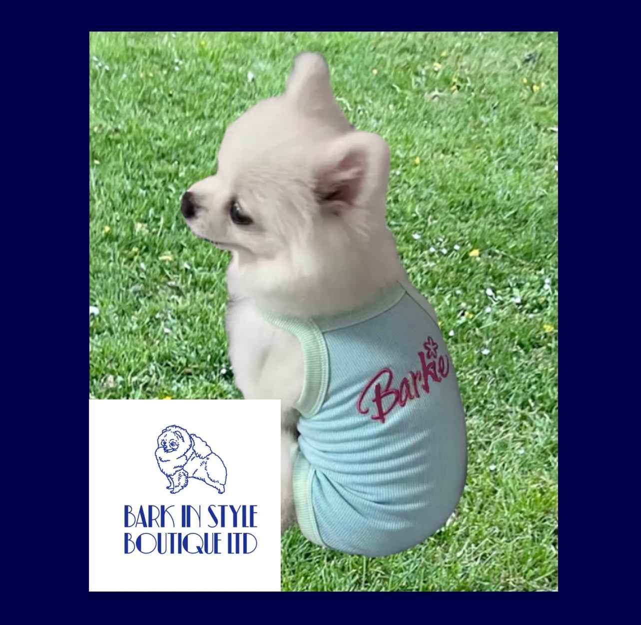 Bark-ie Dog Vest - Blue/Green