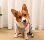 Dog Overalls Romper - Sage Green