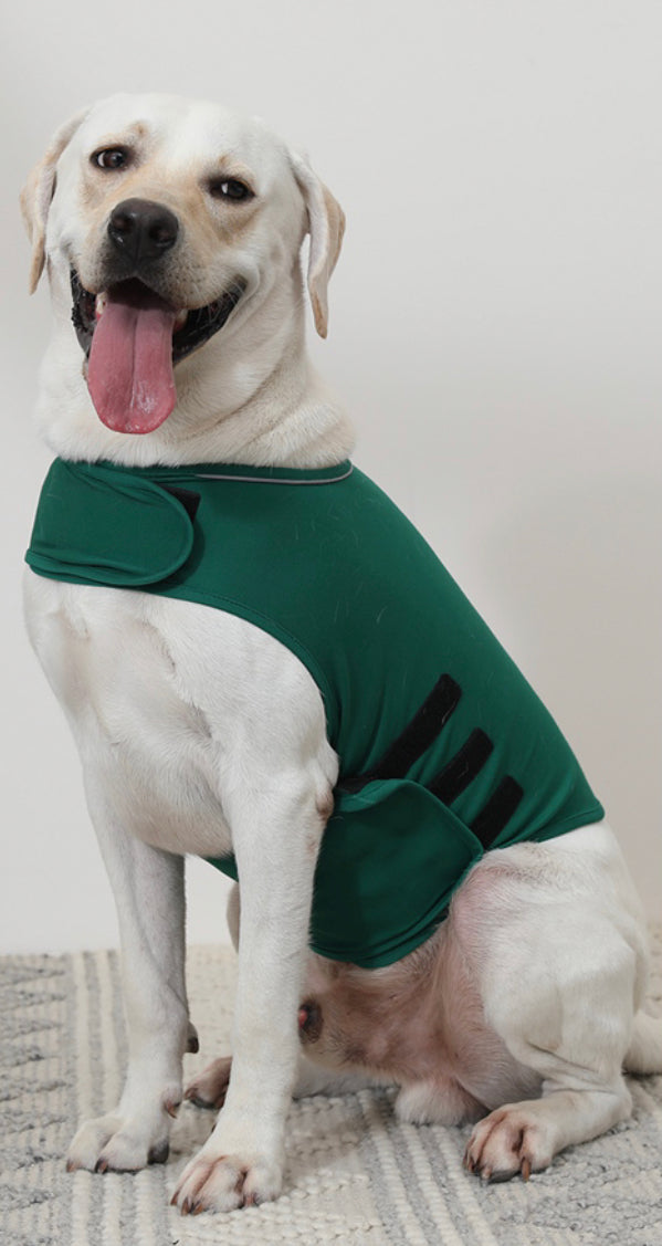 Thunder Anxiety Wrap for Dogs
