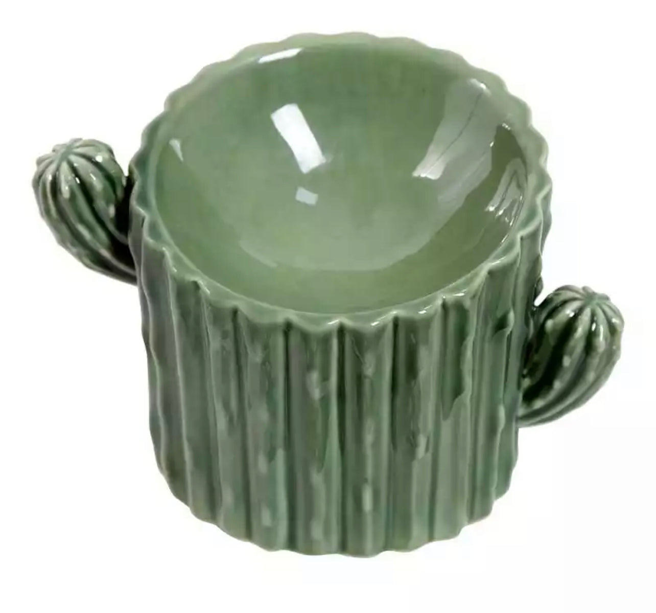 Cactus Ceramic High Feeding Bowl
