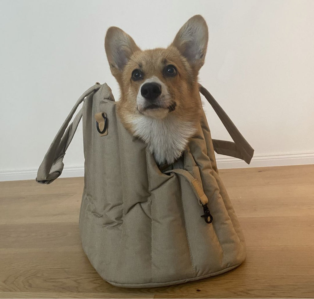 Pet Carrier - Beige